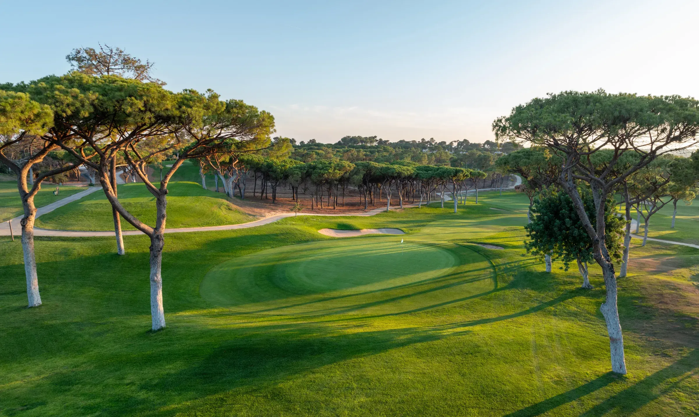 Green and bunkers framed by umbrella pines at Vilamoura’s Old Course